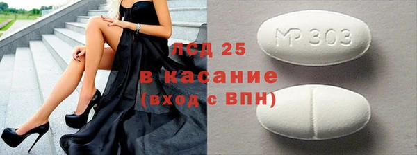 гашик Горняк