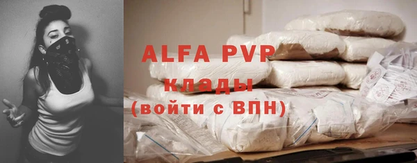гашик Горняк