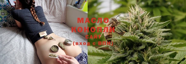 гашик Горняк