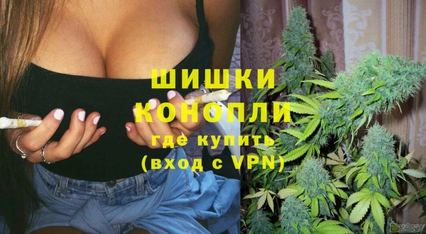 Альфа ПВП Горно-Алтайск