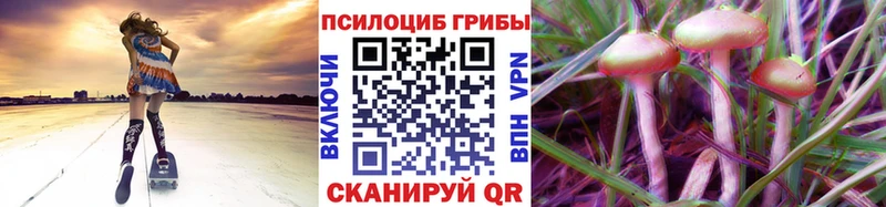 Псилоцибиновые грибы GOLDEN TEACHER  Купить закладки  Чистополь 
